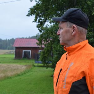 Peter Lindström, iförd orange arbetshalare, ser ut över åkrarna i regnigt augustiväder.