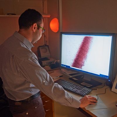 Mies katselee tietokoneen ruutua Biomedicum Helsingissä.