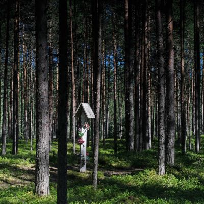 Teloituspaikka metsässä.