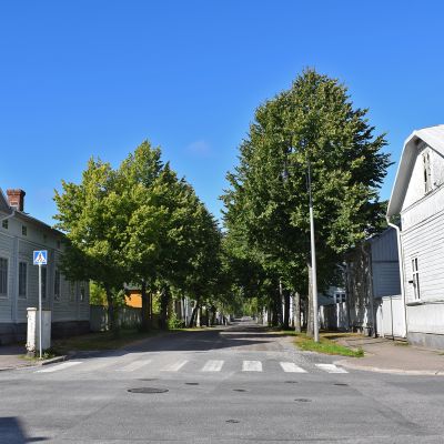 Puutaloja