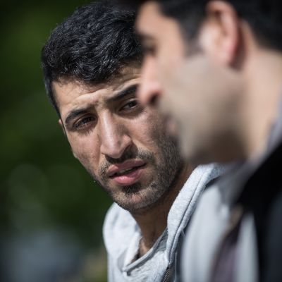 demir alpay, serhat turan