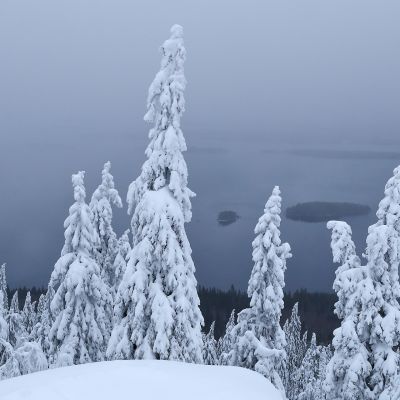 Maisema Kolilta.