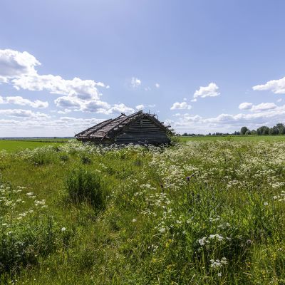 Vanha lato kesäisessä peltomaisemassa.