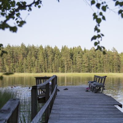 Laituri järvellä