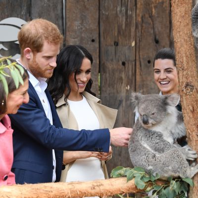 Harry, Meghan ja koala.