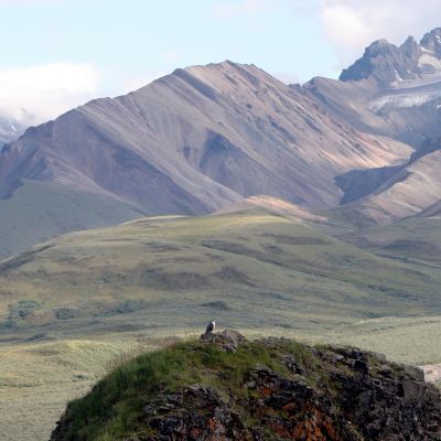 Denalin kansallispuisto Alaskassa.
