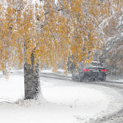 Lumisateinen syysmaisema Joensuun Heinävaarassa.