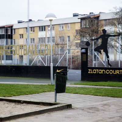 Zlatan Ibrahimović Malmö.