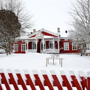 Trädgård med två små äppelträd