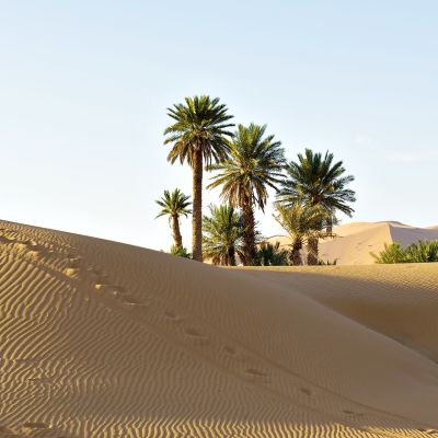 Sahara