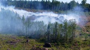 Markbrand i Forsby i Lovisa tidigare i somras. Markbrand på kalhygge i Forsby i Lovisa i maj 2018