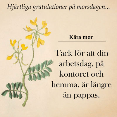 Oglada Morsdagskort X3m Svenska Yle Fi