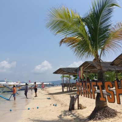 Starfish Island on turistisaari Filippiinien Palawanin lomasaaren kupeessa. Saari sijaitsee Honda Bayssä Palawanin suurimman keskuksen Puerto Princesan lähistöllä.