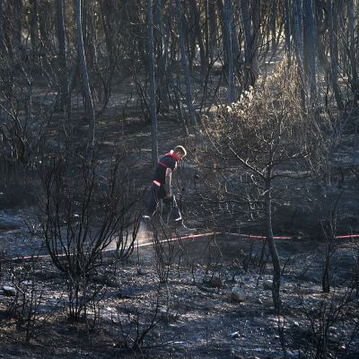 Palomies käveli metsäpalon tuhoaman leirintäalueen läheisyydessä Bagnols-en-Foretissa, Etelä-Ranskassa, 27. heinäkuuta.