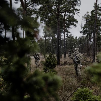 Ruotsin erikoisjoukot harjoituksissa Gotlannissa marraskuussa 2015. Raskaasti aseistautuneita sotilaita havumetsässä. 