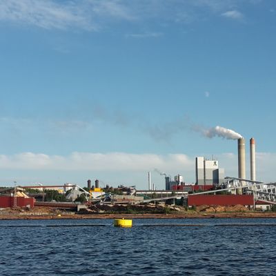 UPM:n Kaukaan tehtaat järveltä kuvattuna.
