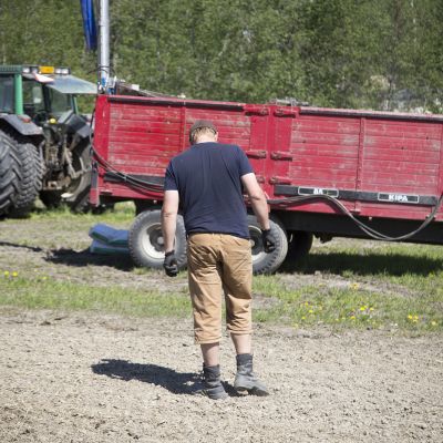 Tilan isäntä pellollaan.