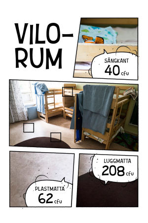 Bilder olika ytor på daghem och hur mycket bakterier de samlar: sängkanten 40 cfu, plastmatta 62 cfu, luggmatta 208 cfu.