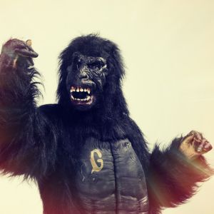 Galaxin gorilla