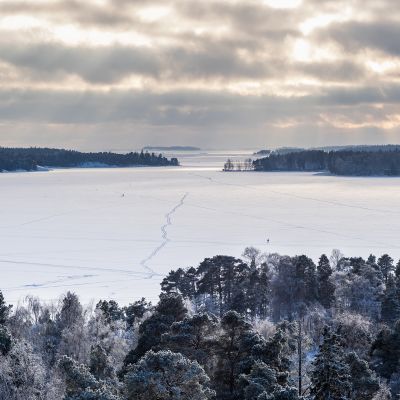 Talvimaisema