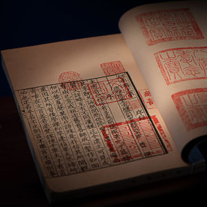 Kirjoituksia kungfutselaisuudesta