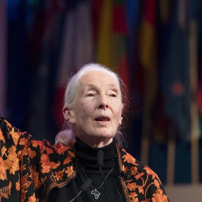 Jane Goodall