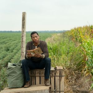 En man sitter på en trälåda vid ett majsfält och läser en bok. 