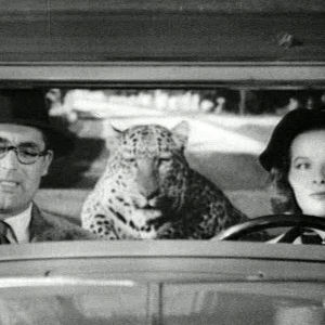 Cary Grant ja Katharine Hepburn elokuvassa Hätä ei lue lakia