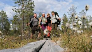 De finländska nationalparkerna har massor att erbjuda också för finländare, anser Axel Hellsten, Mari Keiski, Natalia Alaspää och Rauno Karhukorpi Fyra personer ute på vandring står på en spång längs en vandringsled i Mellersta österbotten