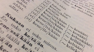 kuva suomen kielen oppikirjasta