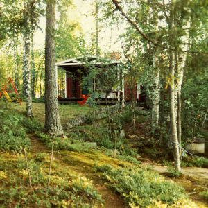 Tyypillinen suomalainen kesämökkimaisema, jossa sekametsän keskellä seisoo kesämökki keinuineen.