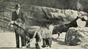 Carl Hagenbeck var Europas största importör och förmedlare av djur till djurparker och cirkusar i Europa i slutet av 1800-talet. Carl Hagenbeck på Hagenbeck Zoo.