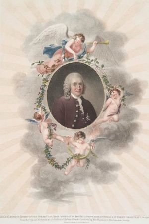 Carolus Linnæus. The Miriam and Ira D. Wallach Division of Art, Prints and Photographs. The New York Public Library Digital Collections. Carolus Linnæus. THE NEW YORK PUBLIC LIBRARY DIGITAL COLLECTIONS.