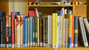 Lovisa-samlingens böcker finns i ett skilt rum. Dem får man inte låna, men det går bra att slå sig ner i bibliotekets soffa för en lässtund. Böcker i bokhylla.