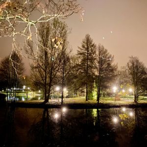 Belysning i Pumpviken i Karis en mörk höstkväll, lamporna speglar sig i vatten och lyser upp träden och parken.