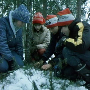 Luontokerholaiset etsivät elämää talvisesta metsästä