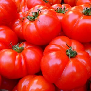 Punaisia tomaatteja