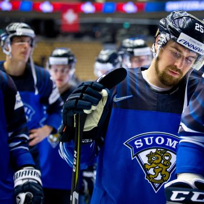 Pekka Jormakka, Leijonat