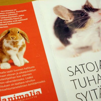 Animalian kampanjaesite