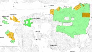 Tomterna skulle placeras på de ställen som är bruna på kartan. Det är frågan om nya tomter. en karta över Wäxär där planer för nya tomter finns utritade