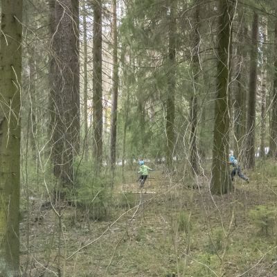 Metsäeskarilaiset juoksevat metsässä.