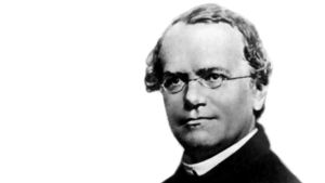 Ärftlighetsforskaren Gregor Mendel (1822-84) betraktas som genetikens grundläggare. Han lade fram en teori och en modell för hur egenskaper nedärvs. Det gäller för sjukdomar som beror på en enda gen.