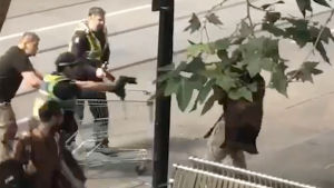 Polisen närmar sig gärningsmannen (bakom grenverket) efter att han knivhuggit flera personer i Melbourne. Polisen närmar sig gärningsmannen (bakom grenverket) efter att han knivhuggit flera personer i Melbourne.