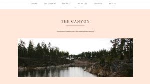 Såna här bilder marknadsför Åminne miljö sig med på webben. En konstgjord damm i en skog.