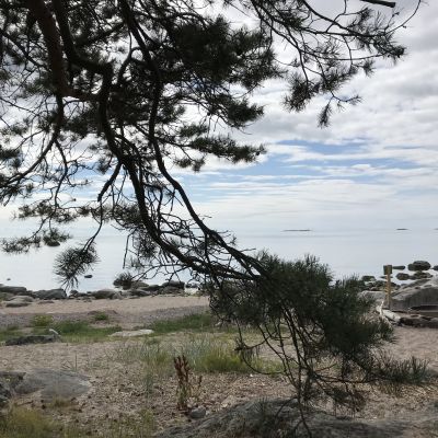 Helsingin kaupungin omistama Kaunissaaren ulkoilupuisto on perustettu vuonna 1959. Noin 100 hehtaarin saaressa on kallioisia ja kivikkoisia rantoja sekä upeita hietikoita. Se sijaitsee noin 22 kilometriä Helsingistä itään Sipoon saaristossa, lähes ulkomerellä.