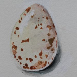 Vesivärimaalaus talitiaisen munasta