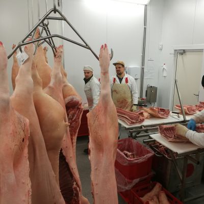 Hokunin maatilan teurastamossa Vehmaalla kinkkua leikataan aamusta iltaan.