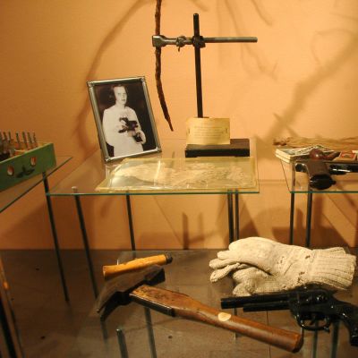 Vuonna 1953 surmatun Kyllikki Saaren valokuvan vieressä on männynoksa, joka oli painettu maahan merkiksi paikkaan, josta Saaren hauta löydettiin.