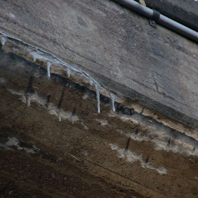 Betonista tehty Hakaniemen silta tarjoaa oivan kasvualustan urbaaneille tippukiville.