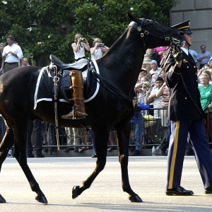 040609-N-5471P-013 Washington, D.C. (Jun. 9, 2004) - Symbolic of a fallen leader who will never ride again, the Caparisoned horse is led down Constitution Ave., following the Caisson carrying the body of former U.S. President Ronald Reagan during his proc